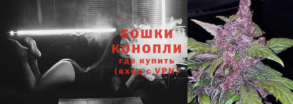 ECSTASY Новодвинск