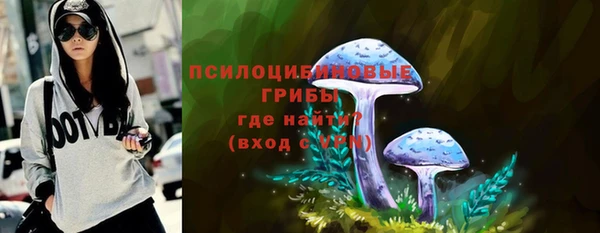первитин Новозыбков
