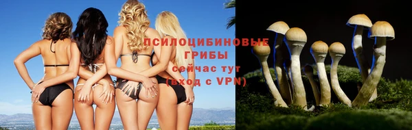 винт Нязепетровск