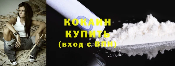 дмт Нягань