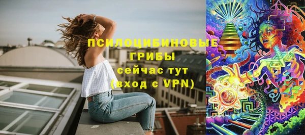 дмт Нягань