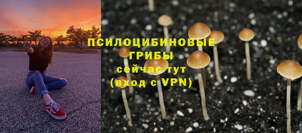 СК Новокубанск