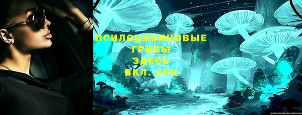 дмт Нягань
