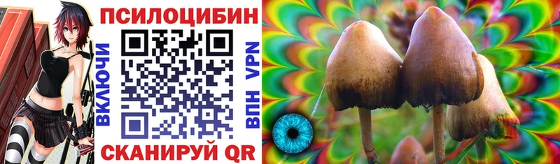 купить  цена  Кстово  Псилоцибиновые грибы Magic Shrooms 