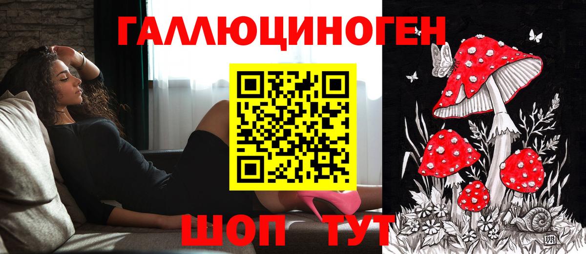 Псилоцибиновые грибы GOLDEN TEACHER Кстово