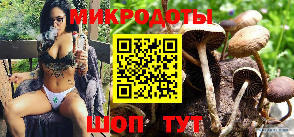 Псилоцибиновые грибы Cubensis  Вход с VPN  Кстово 